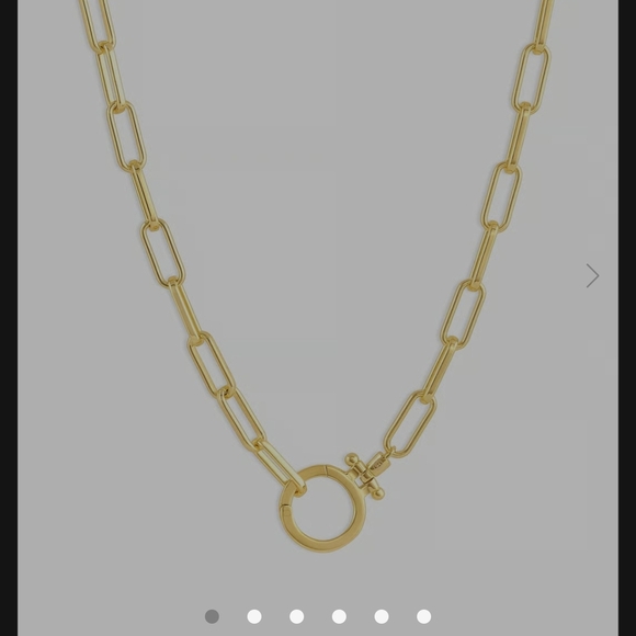 Gorjana Parker 18 Carat  17" Gold Paperclip  Link Chain (Offers Welcome) - Picture 3 of 3